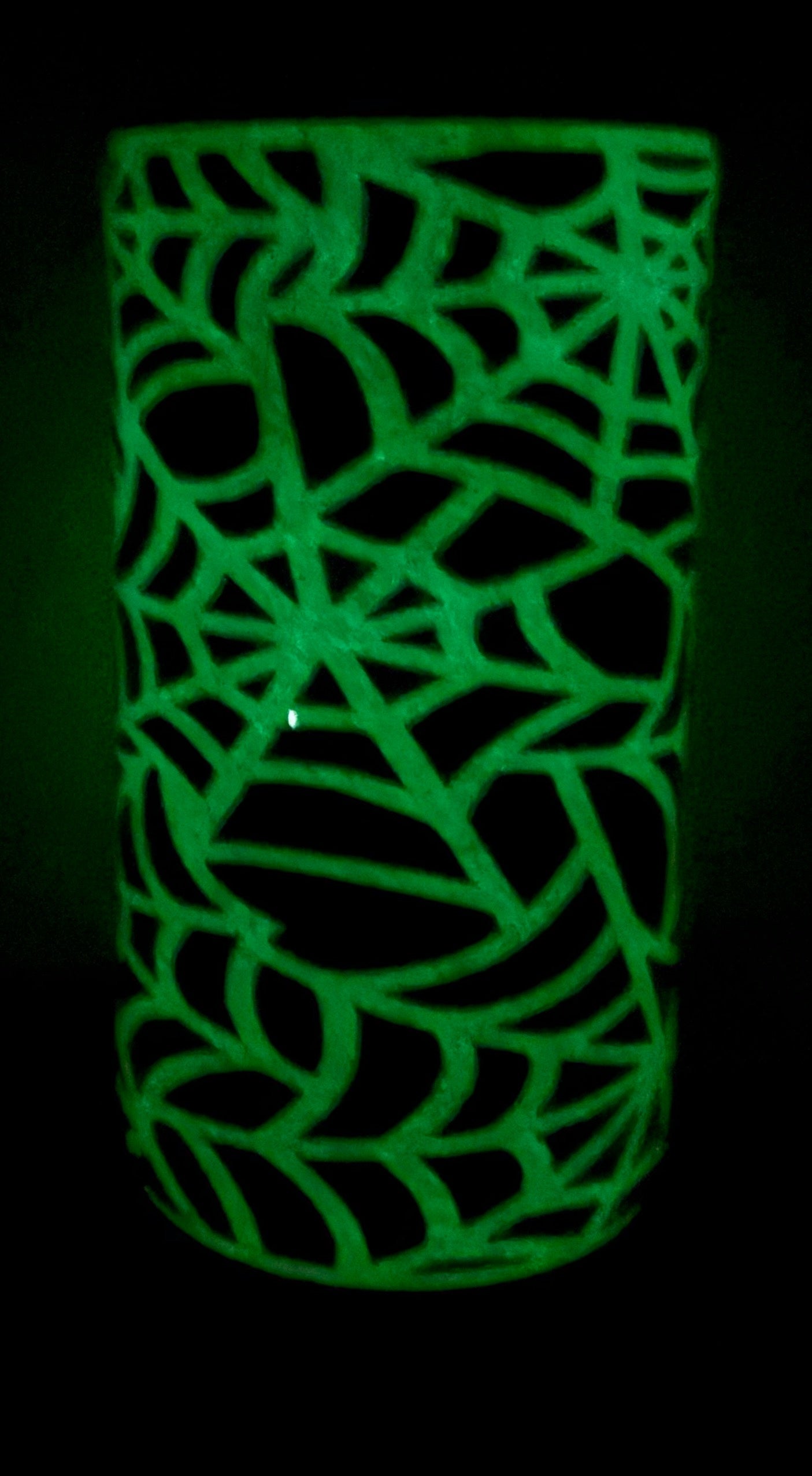 16 ounce plump Spooky B*tch (glows)