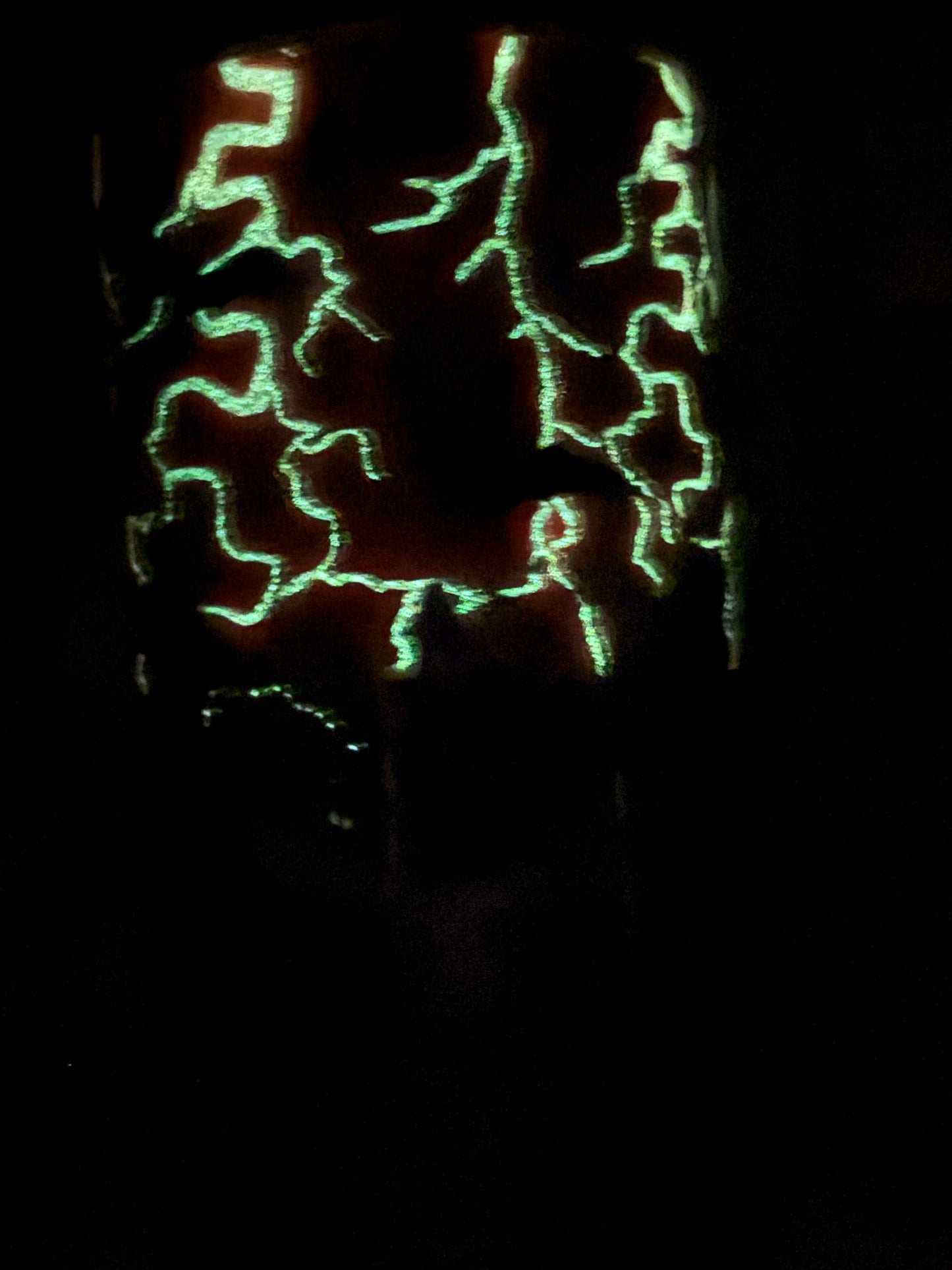 16 ounce plump Spooky Season (Glows)