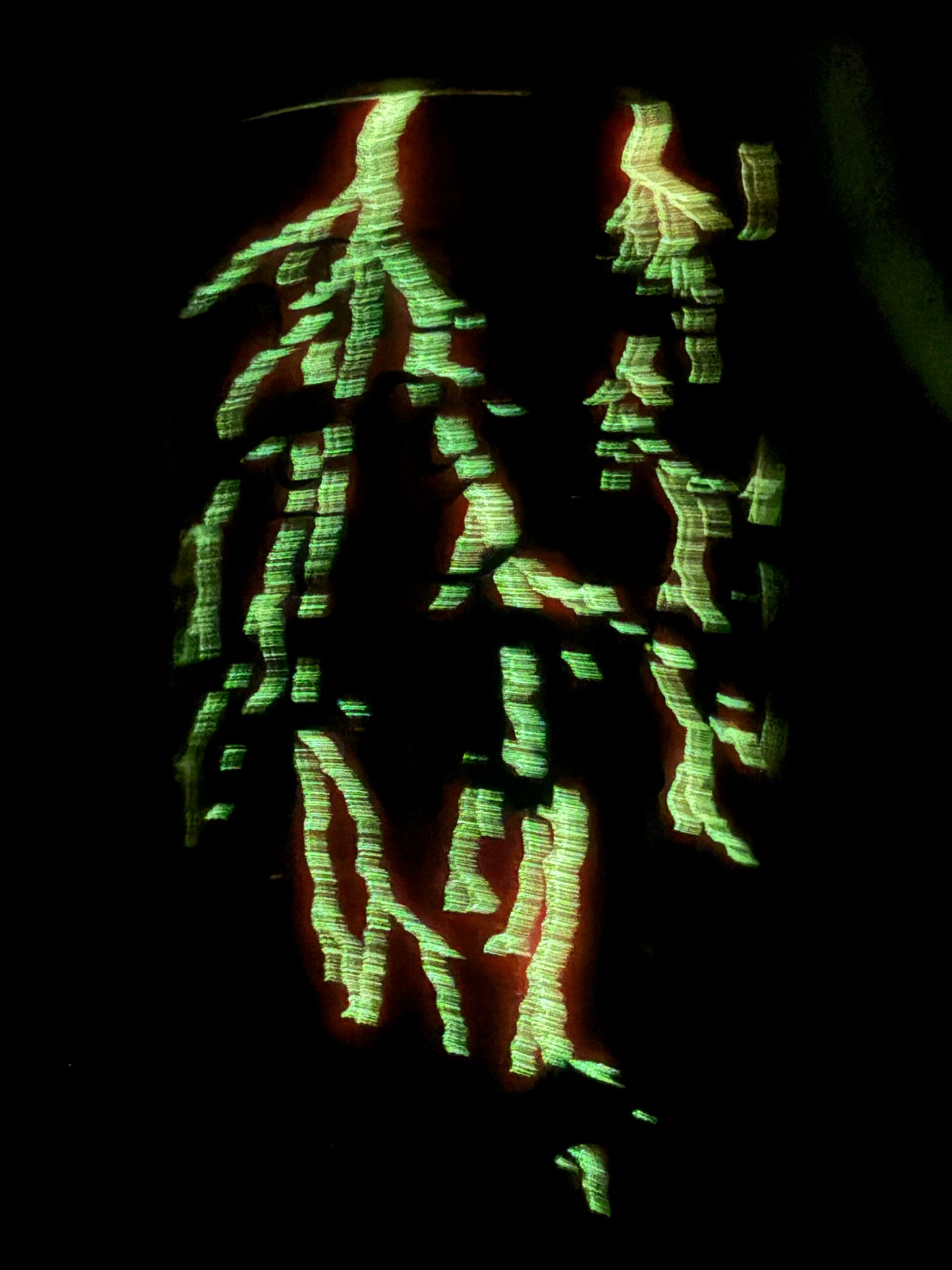 16 ounce plump Spooky Season (Glows)